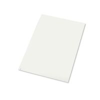 アズワン エコノミー粘着マット(強粘着タイプ) 白 600×1200 1箱(30層×10シート入) 2-4910-03 1箱(10枚)（直送品）