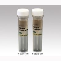 アズワン 二次抗体 Rー05071ー500 1式 2-4160-05（直送品）
