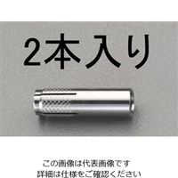 エスコ M6x 25mm 雌ねじアンカー(ステンレス製/2本) EA945BK-6 1セット(40本:2本×20パック)（直送品）