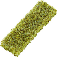 トラスコ中山 TRUSCO マルチシャープブラシ用替ナイロン#180 20枚入 TMS-N180 1パック(20枚) 408-9260（直送品）