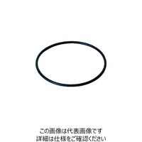 ソルベンタム 3M 1Mハウジング用OーRING NBR AS568-238-N 1個 417-5450（直送品）