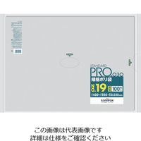 日本サニパック サニパック スタンダードポリ袋19号(0.03mm) L-19 1袋(100枚) 403-6344（直送品）