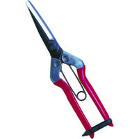 近正 チカマサ 青果鋏 T-700 1丁 409-4891（直送品）