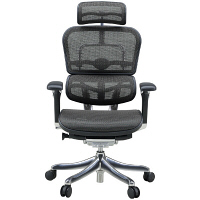 【軒先渡し】 エルゴヒューマン プロ ハイタイプ オフィスチェア エラストメリックメッシュ 肘付 ブラック EHP-HAM 1脚（直送品）