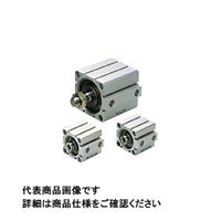 コガネイ（KOGANEI） ジグシリンダCシリーズ 両ロッド 複動形 CDAD40X30-B-R 1個（直送品）