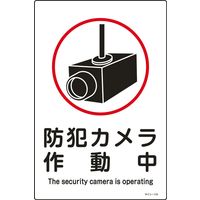 日本緑十字社 サイン標識 サインー110 「防犯カメラ作動中」 094110 1セット(5枚)（直送品）