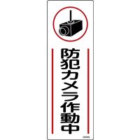 日本緑十字社 短冊型一般標識 防犯カメラ作動中