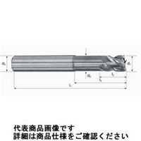 不二越（NACHI） X'Sミルジオラジアス 4XSGEO 16XR3.0X16 1本（直送品