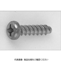 ファスニング J 3カーW 鉄(+)0番ー3種 Pタイプ ナベ 2.0 X 4.0 4000P3000020004003 1箱(5000個)（直送品）