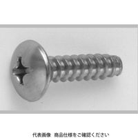 ファスニング J 3カーW 鉄（+）トラスタッピンねじ（2種溝なし B-0形） 3 X 6 210001030030006003 1箱（2200個）（直送品）