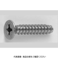 3カーB 鉄(+)皿タッピンねじ(2種溝なし Bー0形) 4 X 25 210001010040025004 1箱(700個)（直送品）