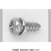 3カーW 鉄 タイト(+)Bタイプ ナベ P=2(SW組込) 3 X 6 300080020030006003 1箱(2500個)（直送品）