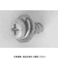 ファスニング J 3カーW 鉄 タイト（+）Pタイプ ナベ P＝3（SW+JIS W組込） 3 X 8 300090030030008003（直送品）