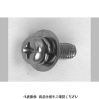 ファスニング J 3カーW 鉄 タイト（+）Sタイプ ナベ P＝3（SW+JIS W組込） 3 X 8 300070030030008003（直送品）