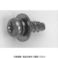 3カーW 鉄 タイト(+)Bタイプ ナベ P=3(SW+JIS W組込) 2.6 X 12 300080030026012003（直送品）