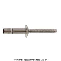 ファスニング J ステンレスーステンレス 丸頭モノボルト 2711ー0617 E2000G500060017000 1箱(250個)（直送品）