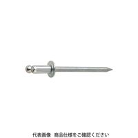 ファスニング J 3カーW 鉄ー鉄 ブラインドリベット SB SB-58 E00040000050008003 1箱（1000個）（直送品）