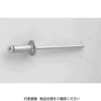 ファスニング J 3カーW アルミー鉄 ブラインドリベット AS ASー42 E00041000040002003 1箱(1000個)（直送品）