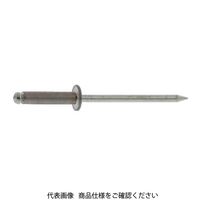 ポップリベット　ADー66 1000本 POP ブラインド リベット アルミ つば径大 樹脂 カウル用 10本入