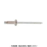 3カーW ステンレスー鉄 ブラインドリベット NSS NSS4ー1 E10002000040001003 1箱(1000個)（直送品）