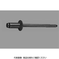 * アルミー鉄 POPオープンタイプリベット TAP/K■BS 64BS H00001010060004000 1箱(1000個)（直送品）