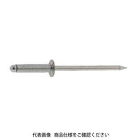 ファスニング J 3カーW 鉄ー鉄 ブラインドリベット NS NS4ー6 E10000000040006003 1箱(1000個)（直送品）