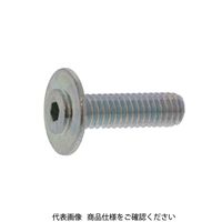 ファスニング J ステンレス シンヘッド(THーTPーM)小ねじ 3 X 750200010030003000 1箱(5000個)（直送品）