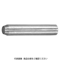 ファスニング J 鋼 溝付きピン C形 3 X 6 D000060C0030006000 1箱(1000個)（直送品）