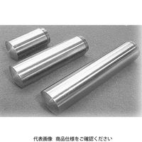 ファスニング J S45C 平行ピン B種 20 X 60 D10801AB0200060000 1箱(20個)（直送品）