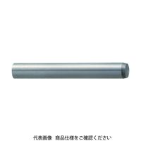 トラスコ中山 TRUSCO 平行ピン A種 公差m6 S45C 2.0×15 40本入 B61-0215 1パック(40本)（直送品）