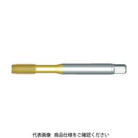 サンドビック（SANDVIK） サンドビック コロタップ EF0CPJ2-M12 1個 605-9350（直送品）