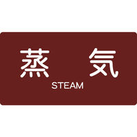 トラスコ中山 TRUSCO 配管用ステッカー 蒸気 横 中 5枚入 TPS-STY-M 1組(5枚) 445-7901（直送品）