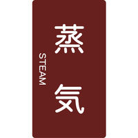 トラスコ中山 TRUSCO 配管用ステッカー 蒸気 縦 中 5枚入 TPS-STT-M 1組(5枚) 445-7668（直送品）