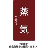 トラスコ中山 TRUSCO 配管用ステッカー 蒸気 縦 小 5枚入 TPS-STT-S 1組(5枚) 445-7676（直送品）