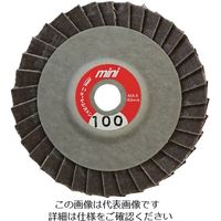 ニューレジストン NRS ミニタイプペーパー多羽根ホイール ミニRホイル 75×10 A100 MRW75A100 1セット(5枚) 431-8706（直送品）