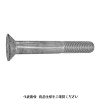 3カーB 鋼 六角穴付き皿ボルト (皿キャップスクリュー)(SSS規格) 3 X 12 A000200T0030012004（直送品）