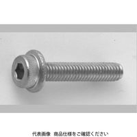 ファスニング J 3カーW 鋼 フランジソケット 6 X 40 A00030000060040003 1箱（200個）（直送品）