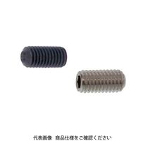 ファスニング J 鋼 六角穴付き止めねじ（ホーローセット）（AWP） 3 X 14 A000504A0030014000 1箱（1000個）（直送品）