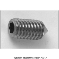 ファスニング J 鋼 六角穴付き止めねじ（ホーローセット）（とがり先） 8 X 16 A000502A0080016000 1箱（500個）（直送品）