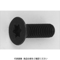 鋼 TORX穴付き皿ボルト(TORX皿キャップ)(新JIS) 6 X 15 A000T2J00060015000 1箱(500個)（直送品）