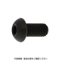 鋼 六角穴付きボタンボルト （ボタンキャップスクリュー）［角丸］（SSS規格） 16 X 40 A000100K0160040000（直送品）