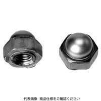 ファスニング J 鉄 六角ウェルド袋ナット（パイロット付き） M8 N00000460080000000 1箱（500個）（直送品）