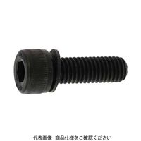 ファスニング J 鋼 NHセフティソケット 10 X 25 A000900N0100025000 1箱（100個）（直送品）