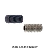 ファスニング J 3カーB 鋼 六角穴付き止めねじ（ホーローセット）（ダブルポイント）［TKS］ 5 X 8 A000504T0050008004（直送品）