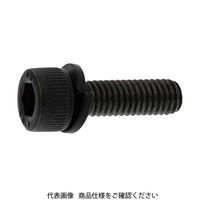 ファスニング J クロメート CAP-SW（カクマル） 6 X 30 A000902K0060030002 1箱（200個）（直送品）