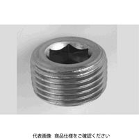 ファスニング J 鋼 六角穴付テーパねじプラグ(沈み) PT 1/2 A000571K8040000000 1箱(100個)（直送品）