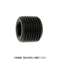 ファスニング J 鋼 六角穴付テーパねじプラグ(浮き) PT 1/2 A000570K8040000000 1箱(100個)（直送品）