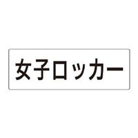 ユニット 女子ロッカー 片面表示 RS2-18 1枚（直送品）