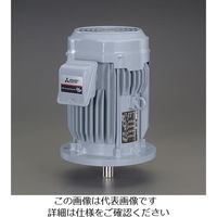 エスコ AC200V・2.2 kw 三相モーター(全閉外扇・屋内形) EA968BC-22A 1