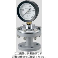 木幡計器製作所 ダイヤフラム式圧力計(フランジタイプ) 75×0.4フッ素 2-276-01 1台（直送品）